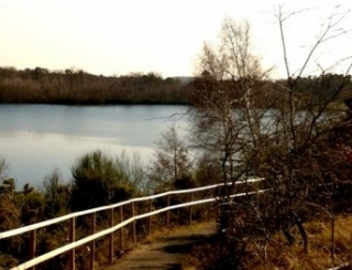  El lago 